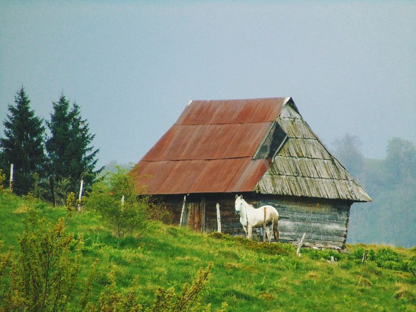  - Photo 03