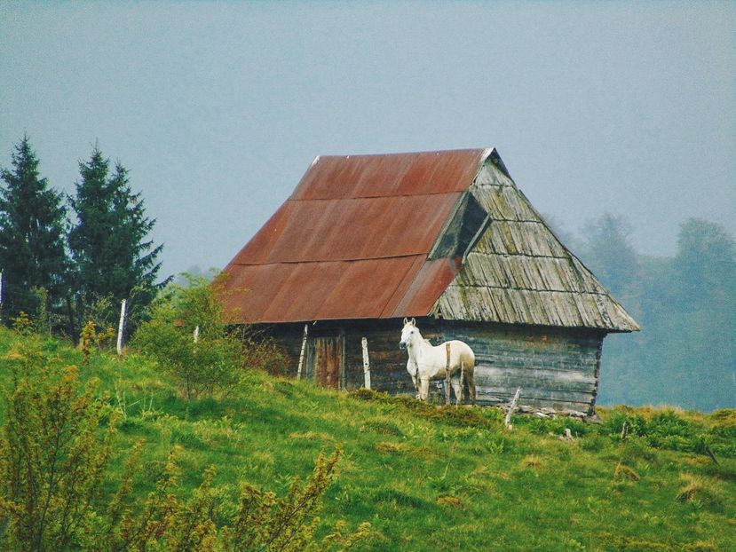  - Photo 03