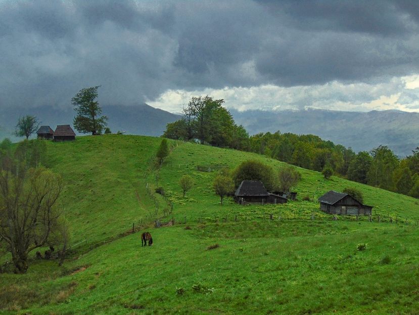  - Photo 03