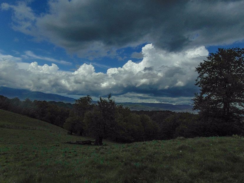  - Photo 03