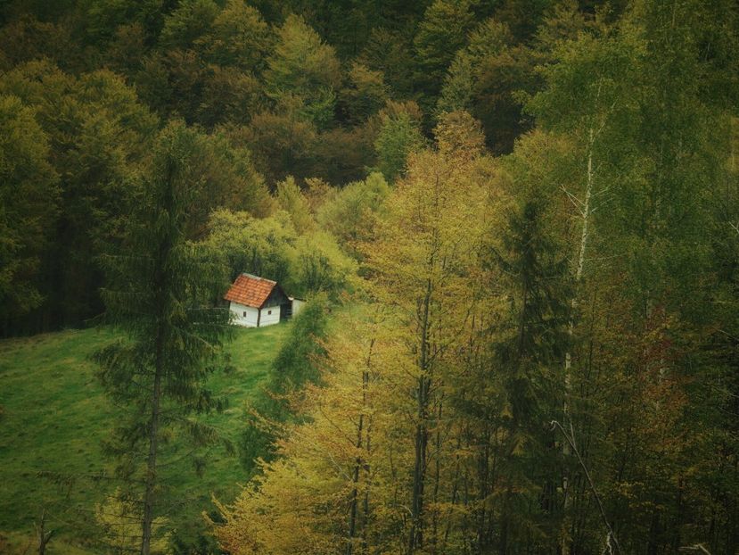 - Photo 03