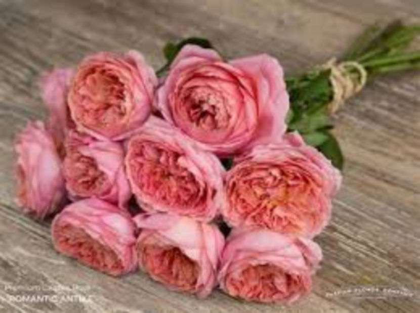 Romantic antikes - Wish list