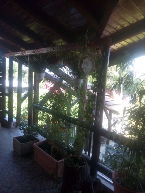  - Pt invidiosi ! Se stiu ei!