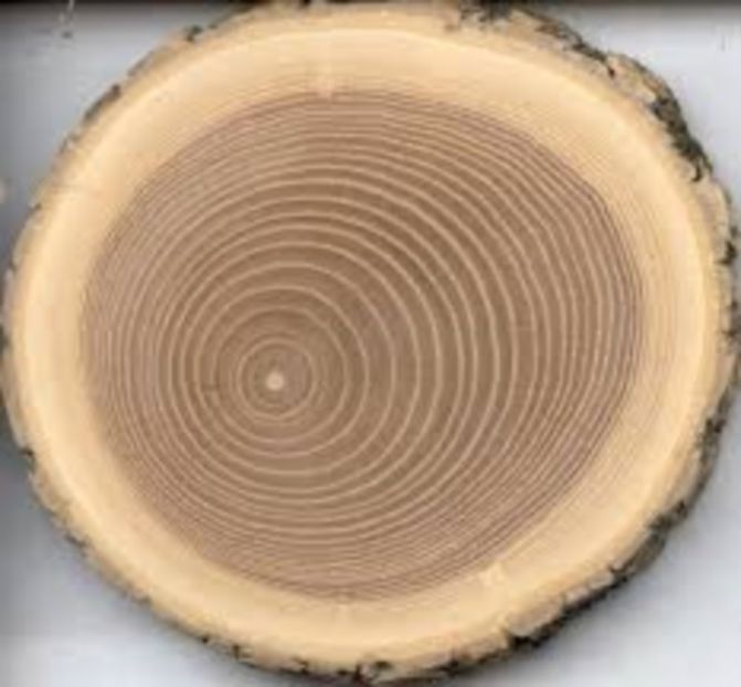  - Rustic caramida-imitatie-piatra-lemn