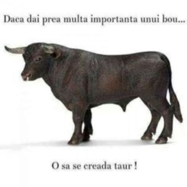  - FOR FRIENDS