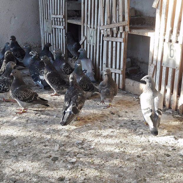 21744920_1974609402814833_777612494_o - CONTACT