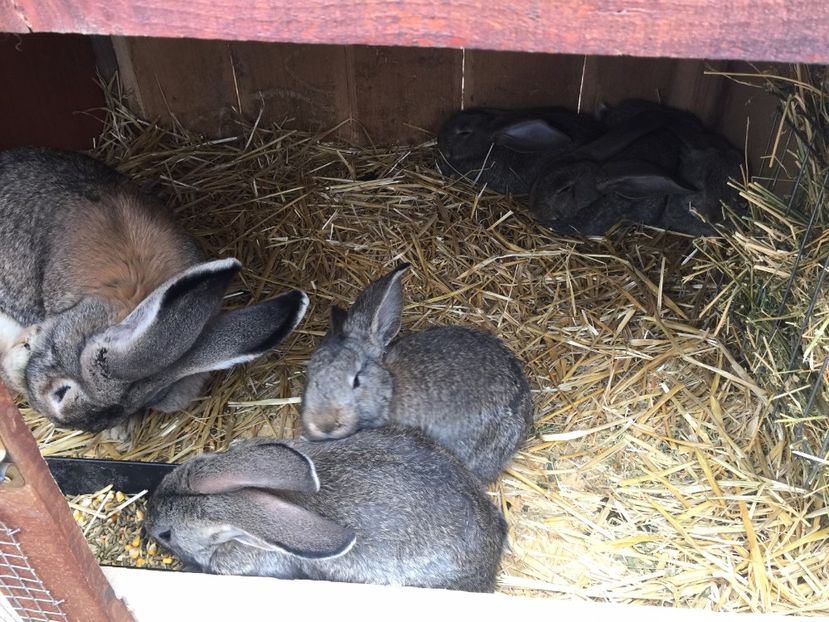  - 01- Urias German M1