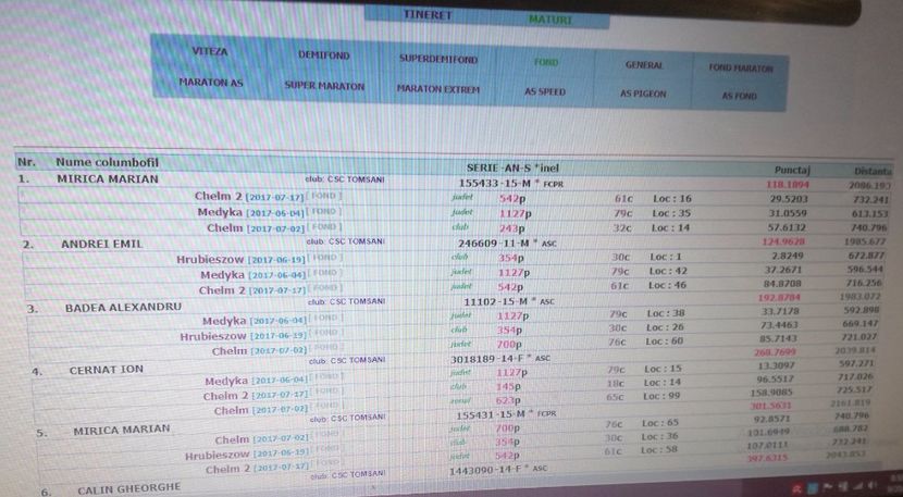  - 2017-Porumbei reprezentanti Crescatoria BADEA ALEXANDRU