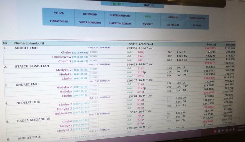  - 2017-Porumbei reprezentanti Crescatoria BADEA ALEXANDRU