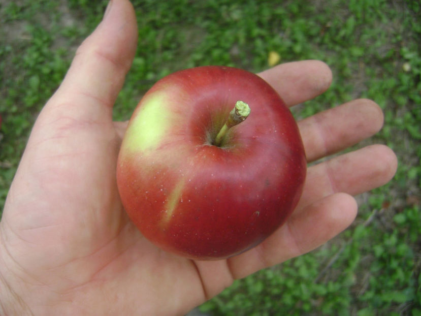 Mar Jonathan 2 - Mar Jonathan