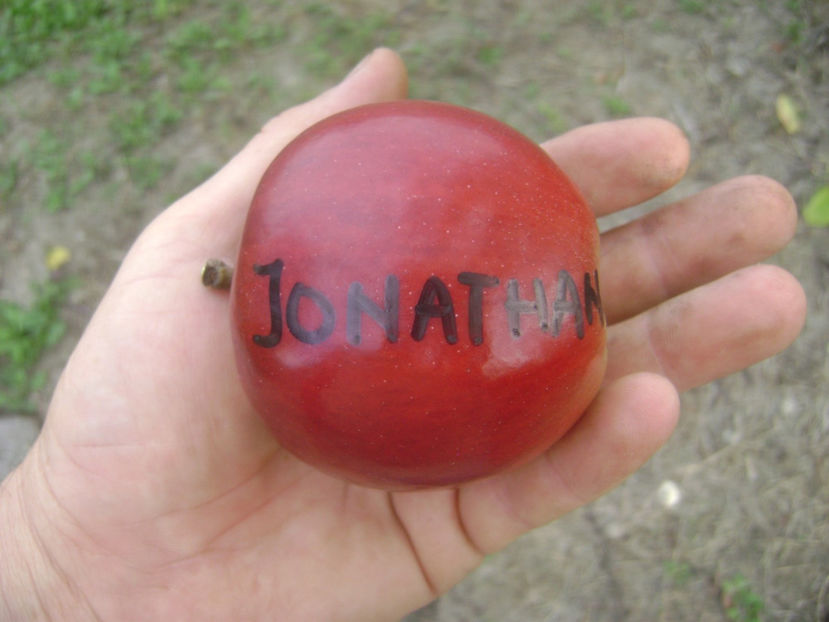 Mar Jonathan - Mar Jonathan