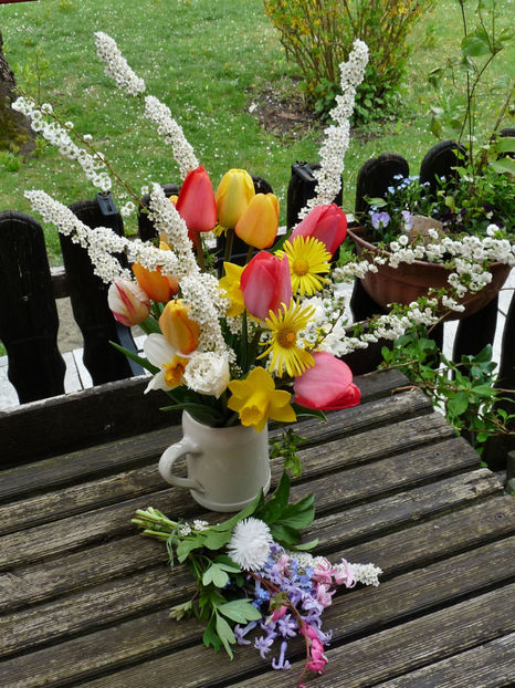 2017 - 01 - Floristica