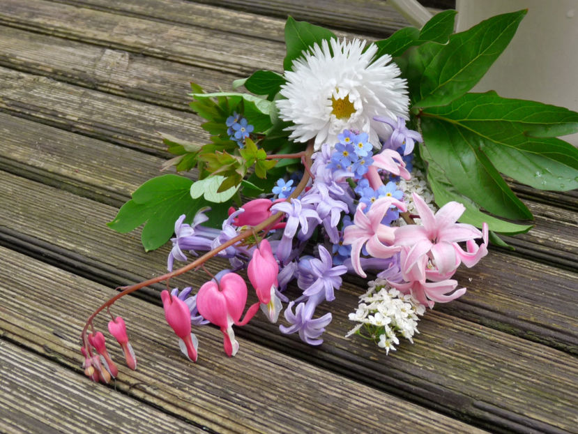 © - 01 - Floristica