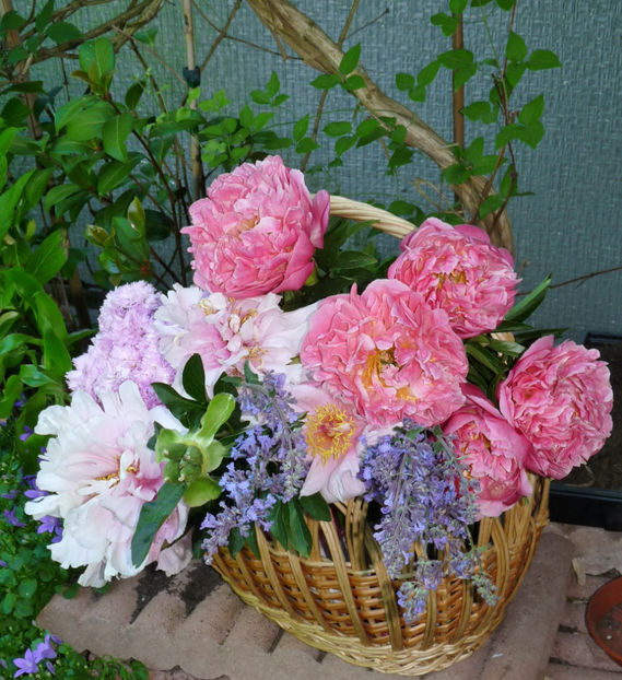 © - 01 - Floristica