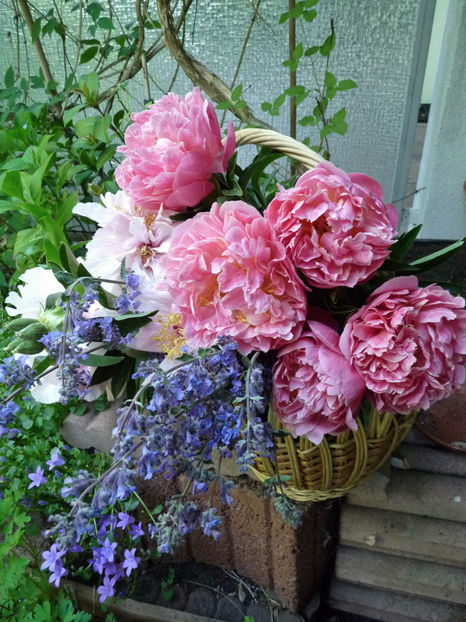 © - 01 - Floristica