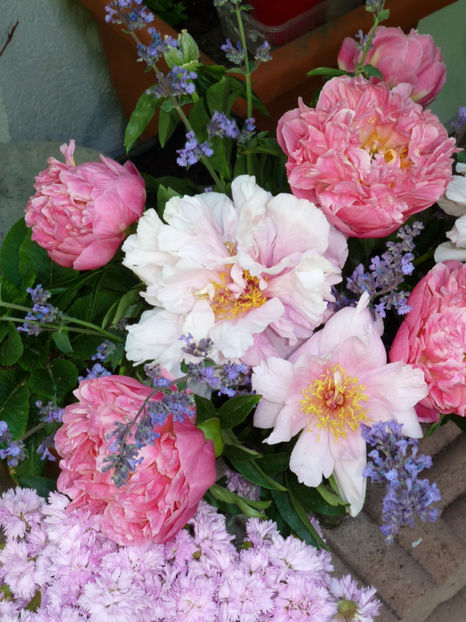 © - 01 - Floristica