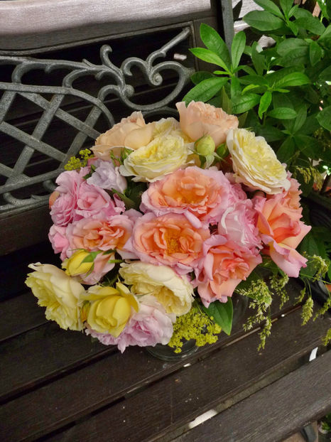 © - 01 - Floristica