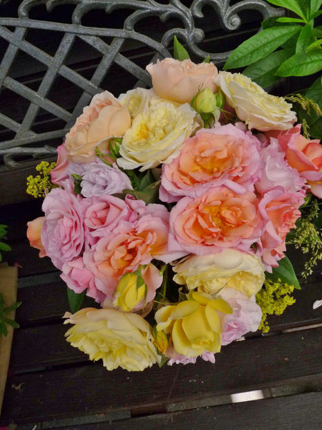 © - 01 - Floristica