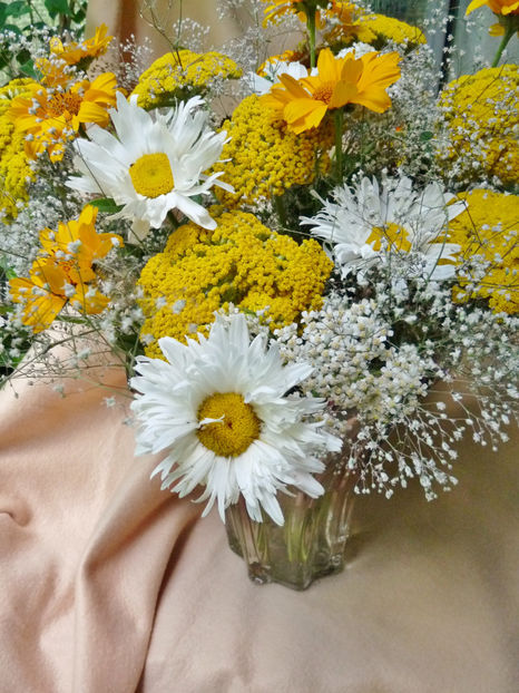 © - 01 - Floristica