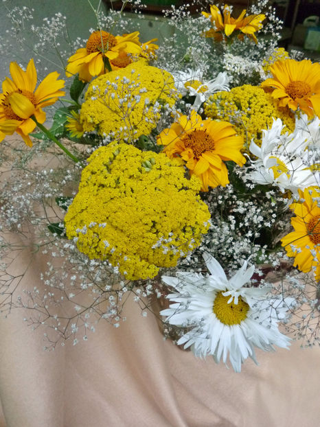 © - 01 - Floristica