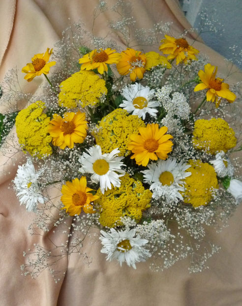 © - 01 - Floristica