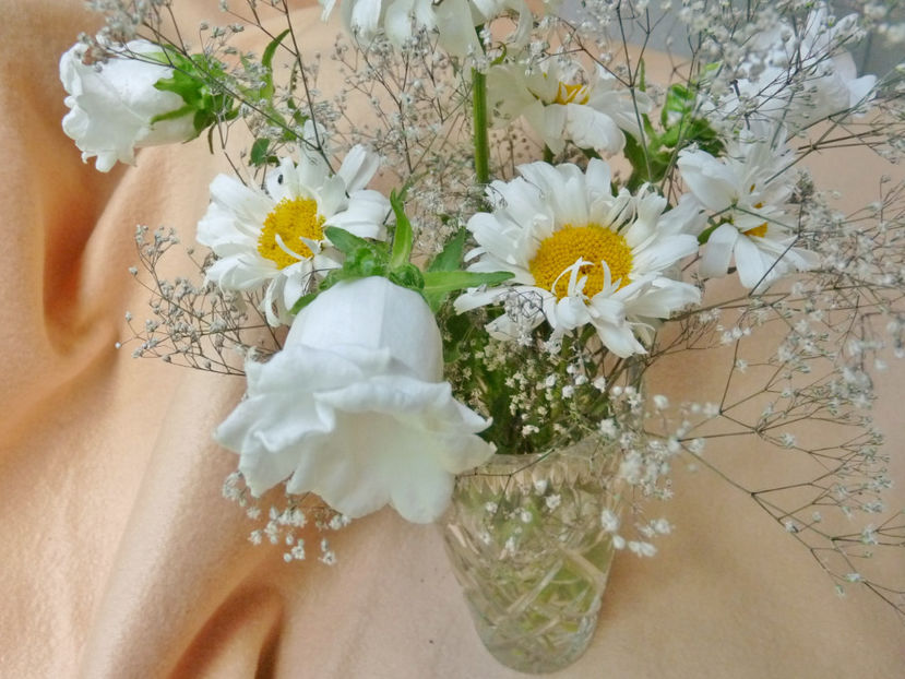 © - 01 - Floristica