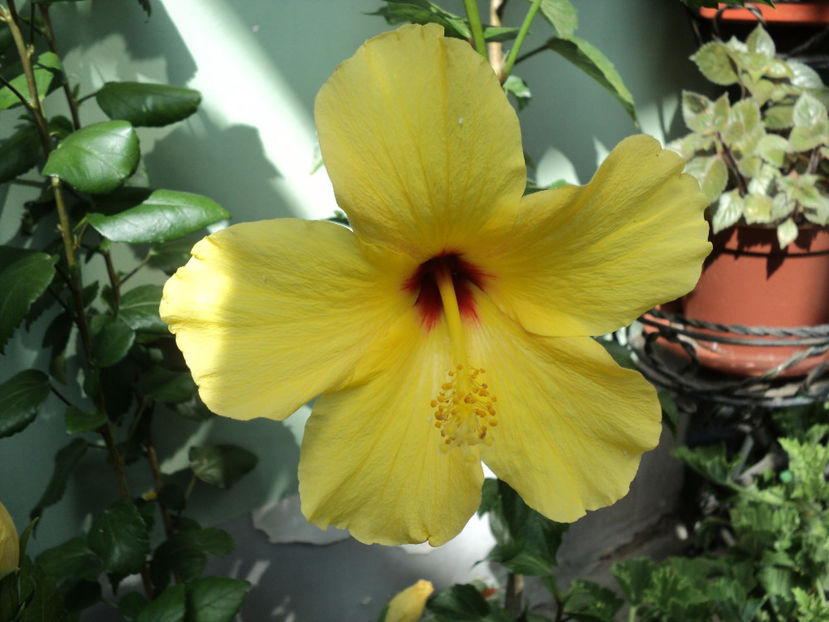 poze 2015 006 - Kim pierdut