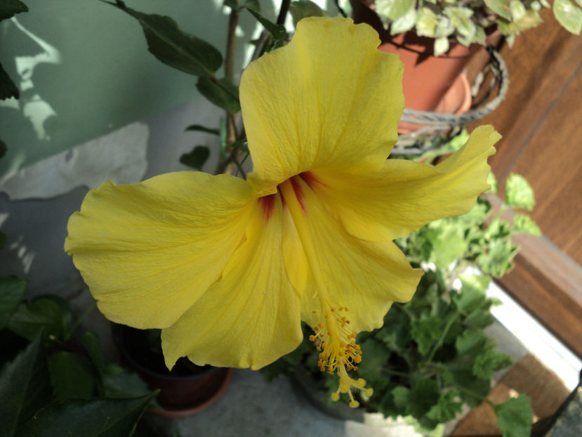 poze 2015 007 - Kim pierdut