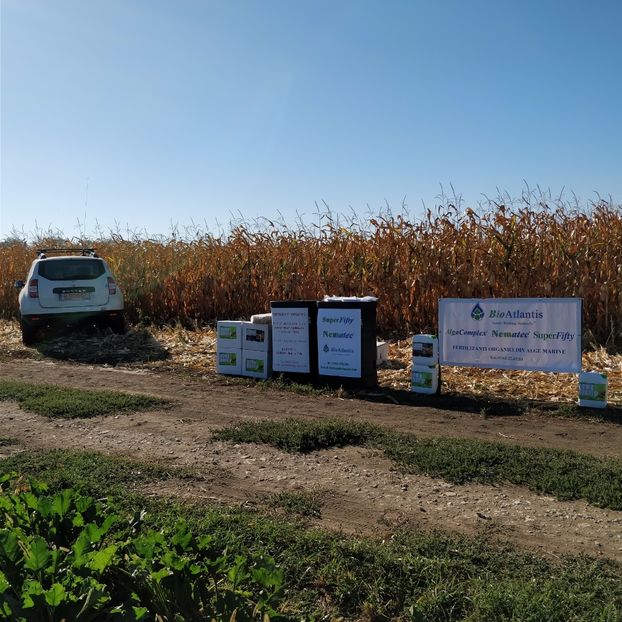  - Ziua Sfeclei de Zahar 2017