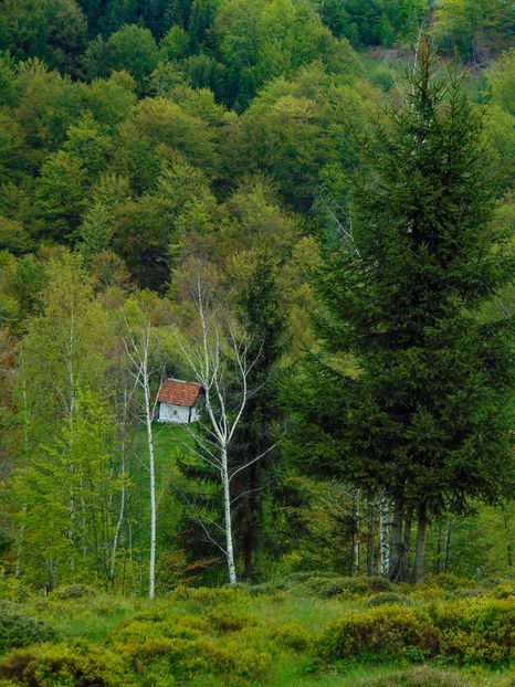  - Photo 03