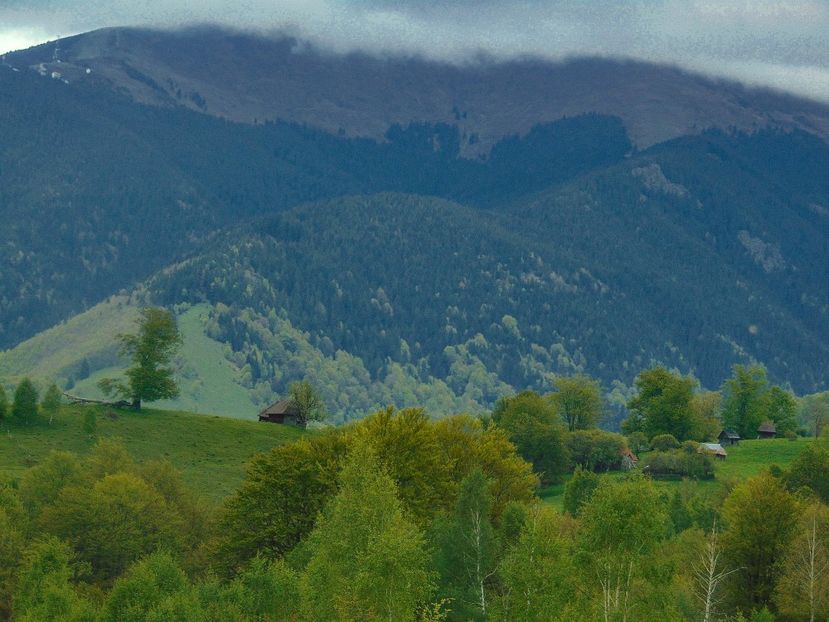  - Photo 03