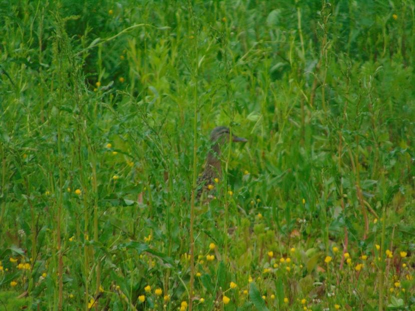  - Photo 03