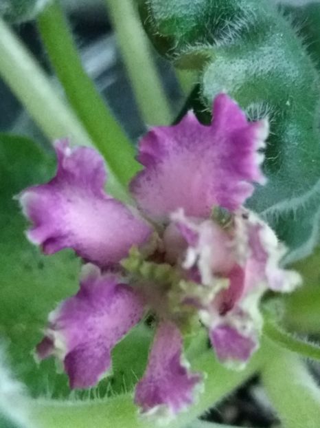 22 sept - ZZ LE Samara