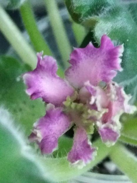 22 sept - ZZ LE Samara