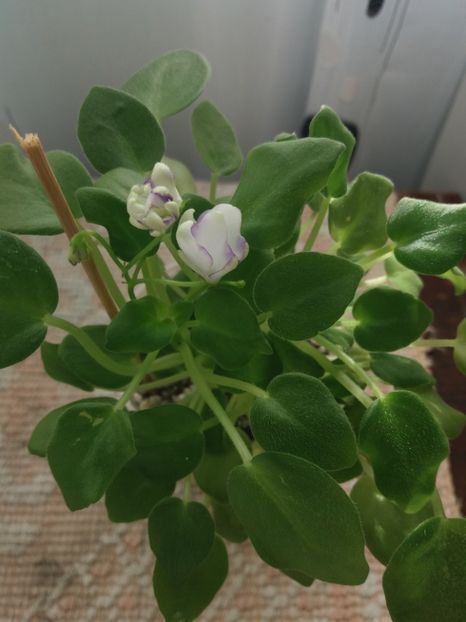 17 sept - Rob s Humpty Doo