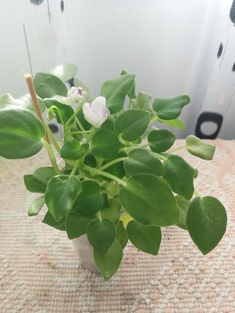 17 sept - Rob s Humpty Doo