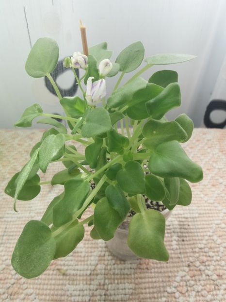 17 sept - Rob s Humpty Doo