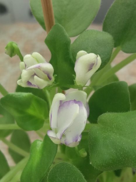 17 sept - Rob s Humpty Doo