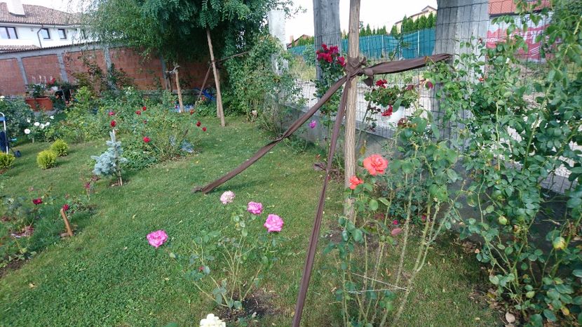  - Gradina septembrie 2017