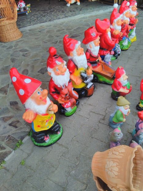  - ratusca mandarina  de vanzare