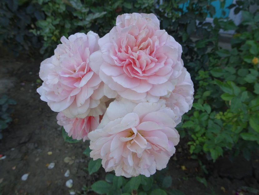 18 sept. - Natasha Richardson