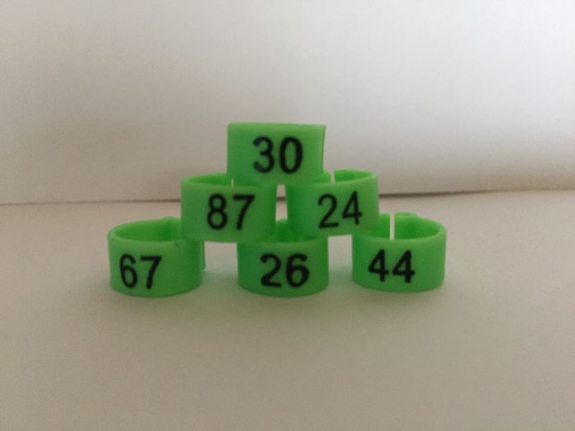  - Cleme cu număr 8 mm