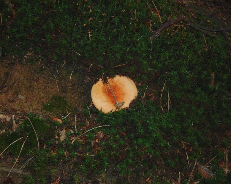  - Photo 09