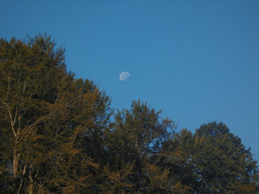  - Photo 09