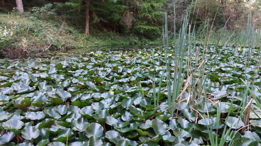 1506243496732-2062451884 - Olanesti septembrie 2017