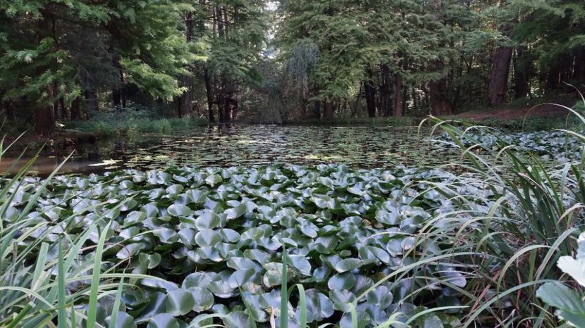 1506243549319-1856914892 - Olanesti septembrie 2017