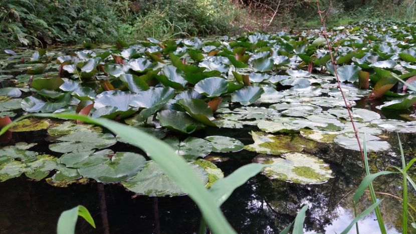  - Olanesti septembrie 2017