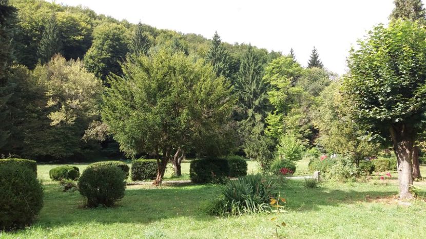 1506243914671-1264306783 - Olanesti septembrie 2017