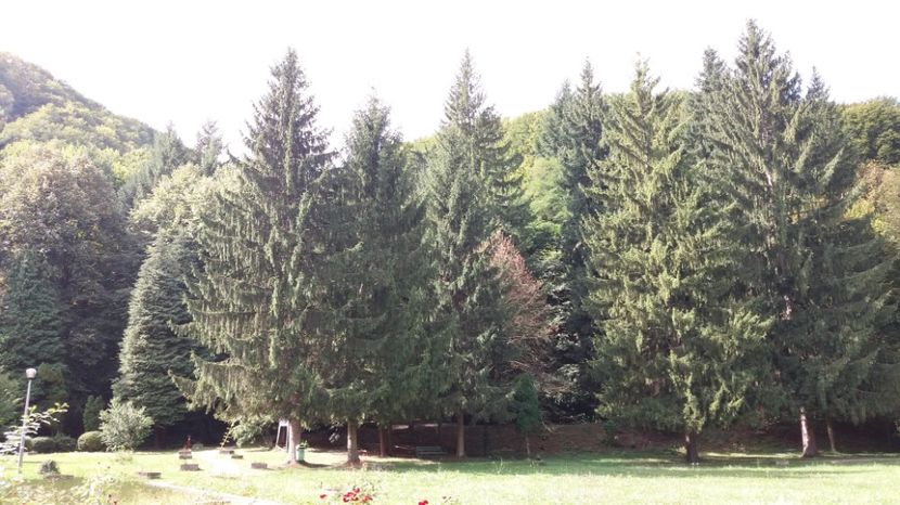  - Olanesti septembrie 2017