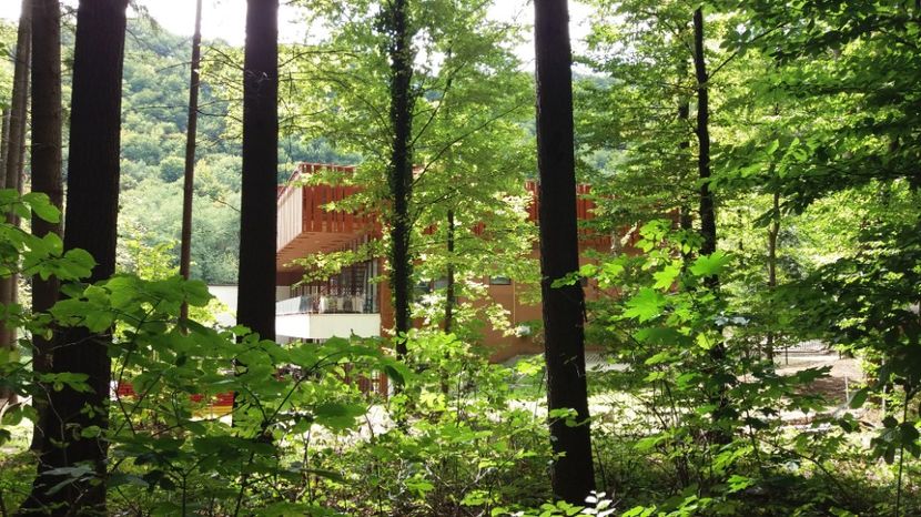 Vila lui Ceausescu - Excursii